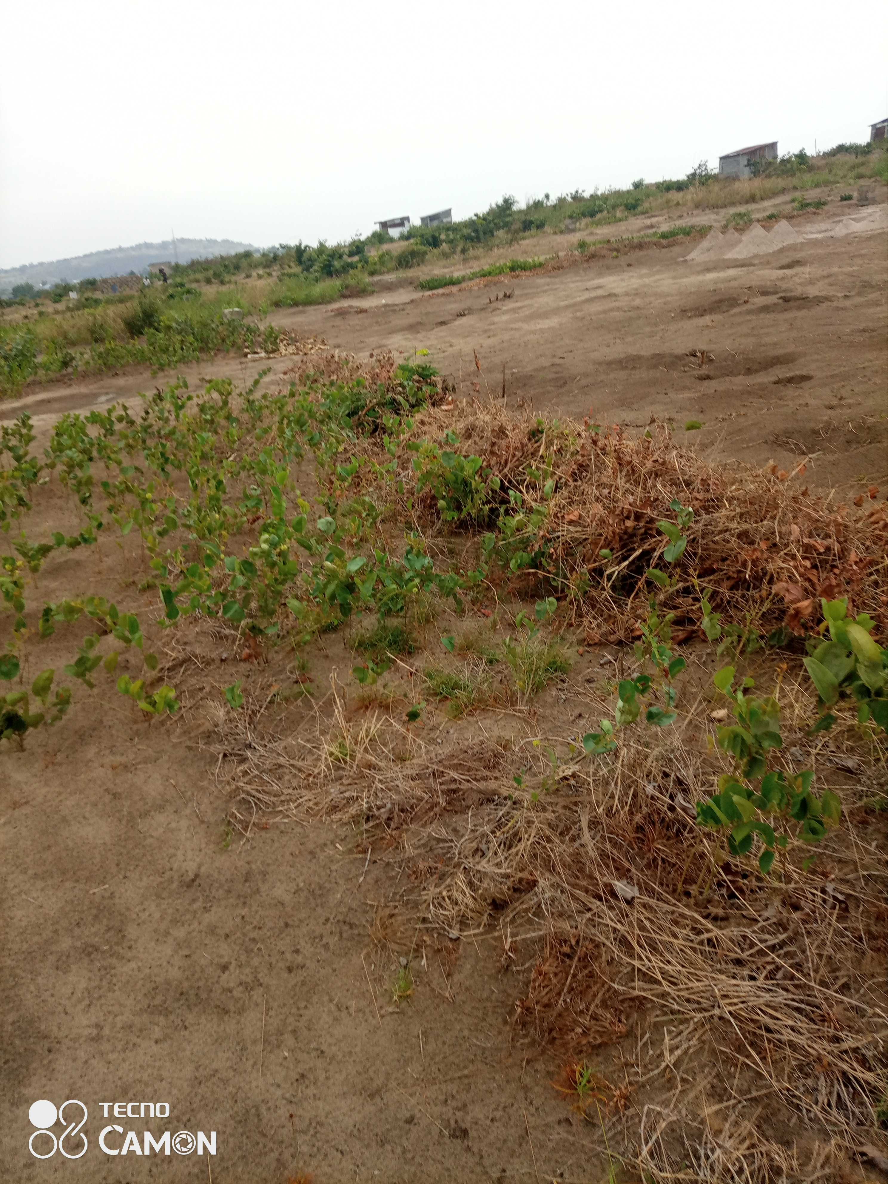 Somba terrain n'a 1500$ ya pamba okomi mukolo lupangu