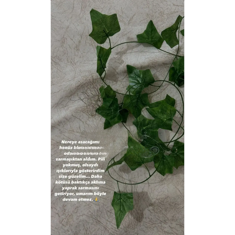 Lierre De Fleurs Vertes