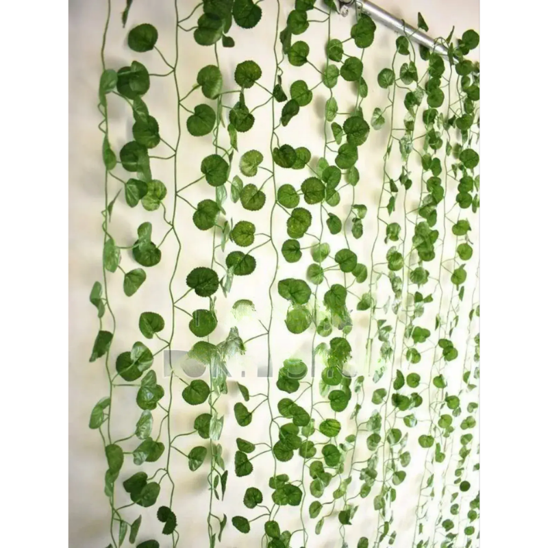 Lierre De Fleurs Vertes