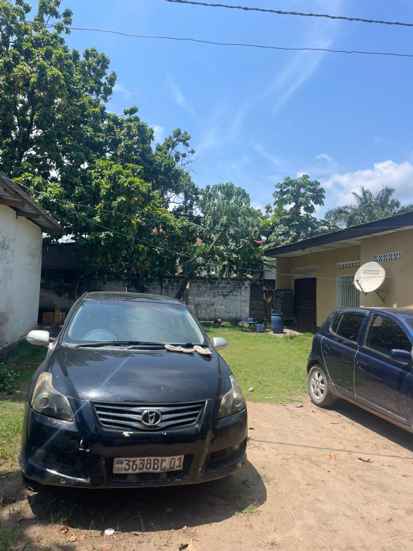 Toyota blade