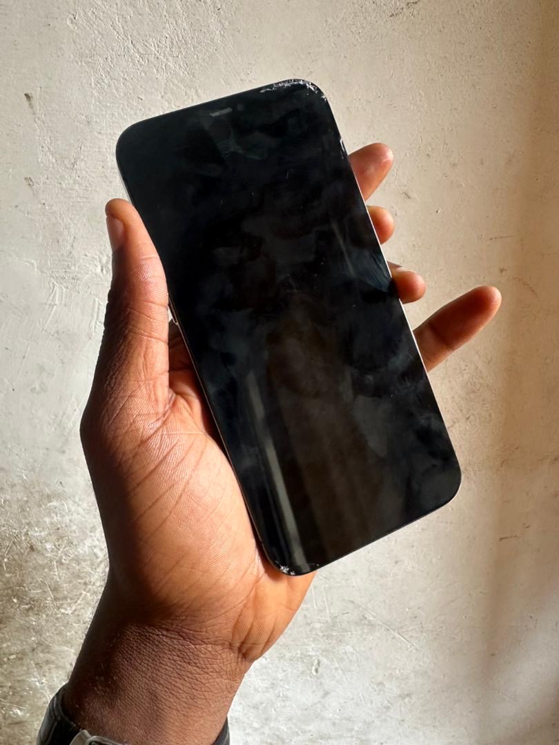 iPhone 12 Pro Max 