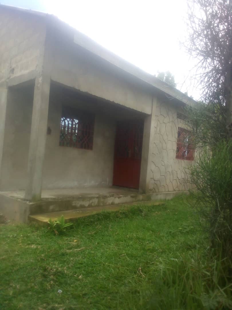 Vente d'une parcelle des deux chambres salon cuisine à mont ngafula Quartier musangu